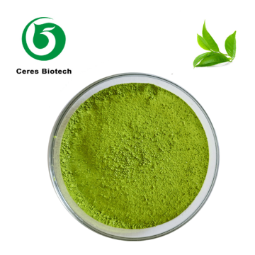 Supply Bulk USDA Organic Matcha Powder Ceremonial Grade Matcha Green Tea Powder