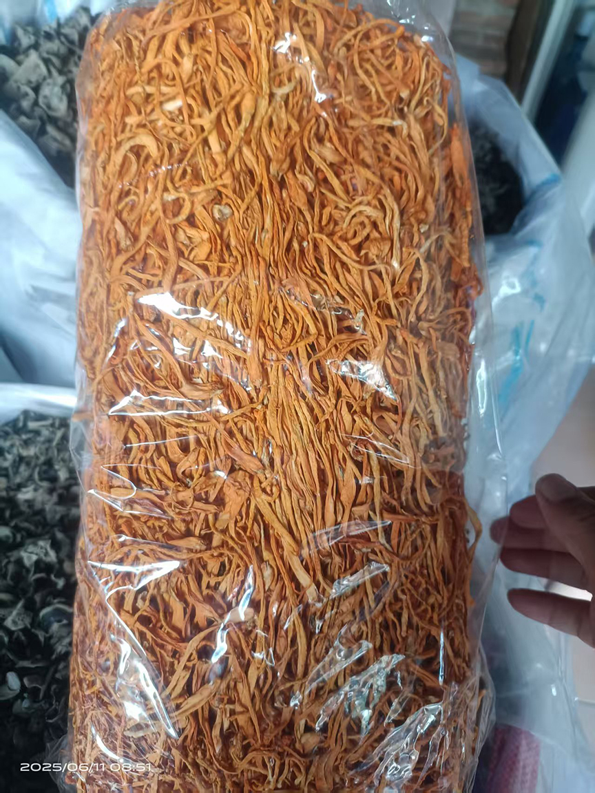 Cordyceps Militaris 02