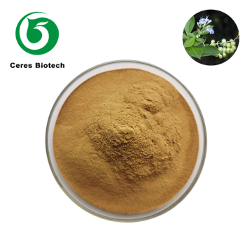 Fructus Viticis Extract Powder Agnuside Vitexin 5% for Women's Wellness