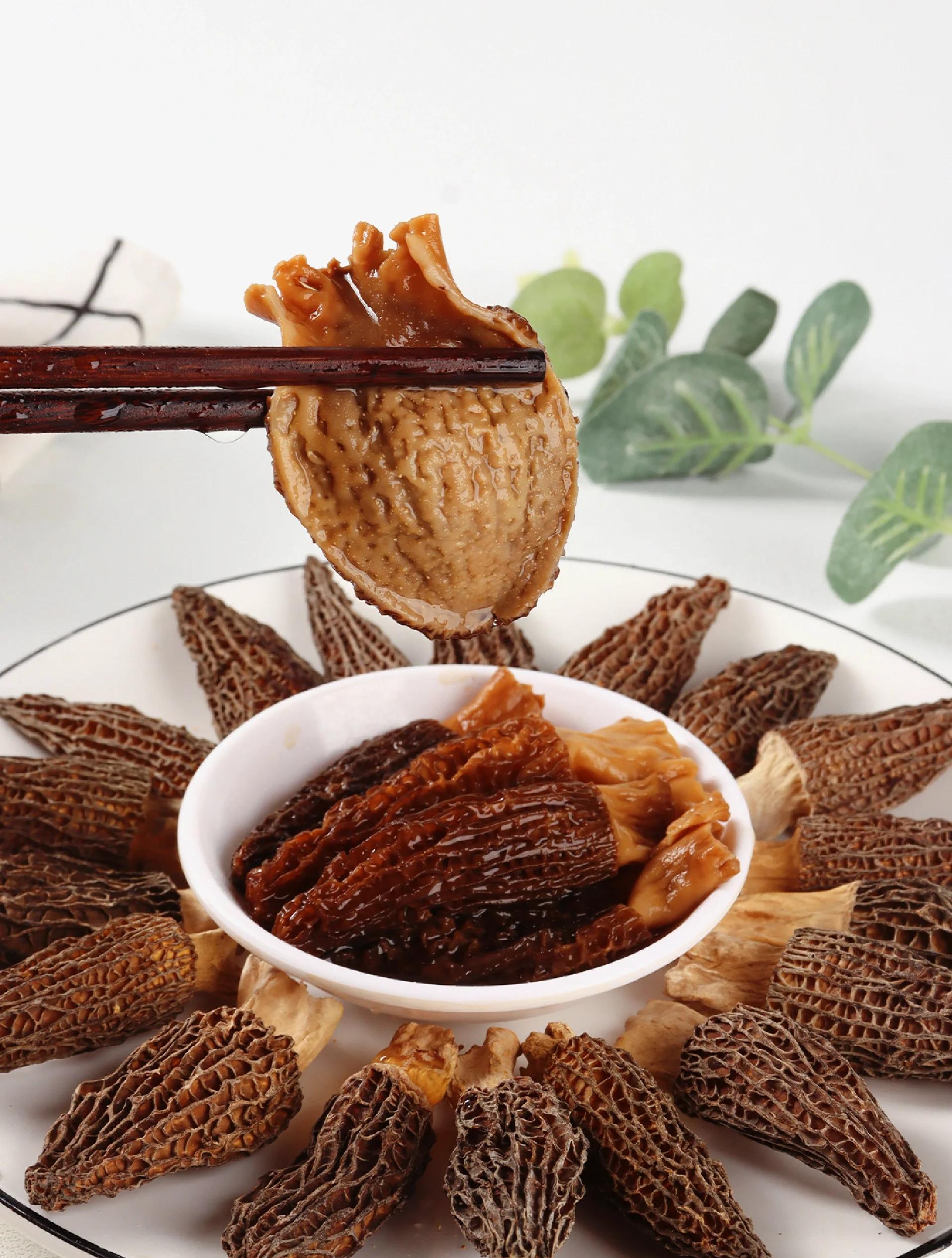 morel mushroom app02