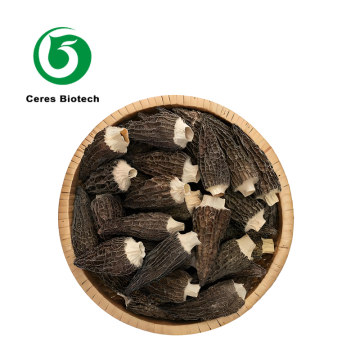 Premium Dried Morel Mushrooms Whole High Quality Morchella Conica for Gourmet Cooking & Healthy Food Ingredients