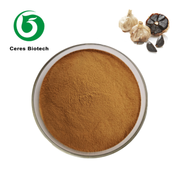 Food Grade Natural Black Garlic Extract Powder 1% SAC S-Allylcysteine for Metabolic & Immune Support