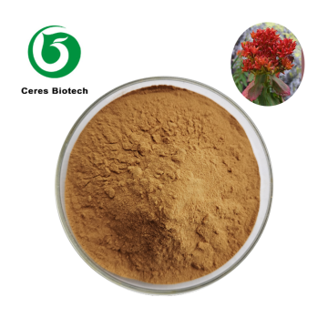 Extracto liposomal de Rhodiola Rosea de alta absorción...