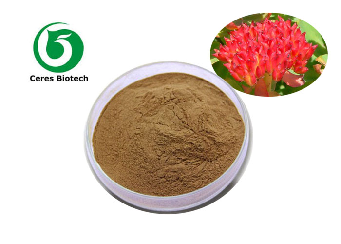 Extrait de Rhodiola rosea 17
