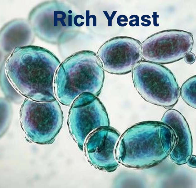 Levure enrichie en sélénium : les avantages techniques de la supplémentation en sélénium biologique
