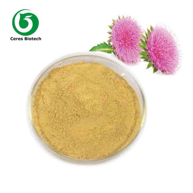 Milk Thistle Silymarin Extract