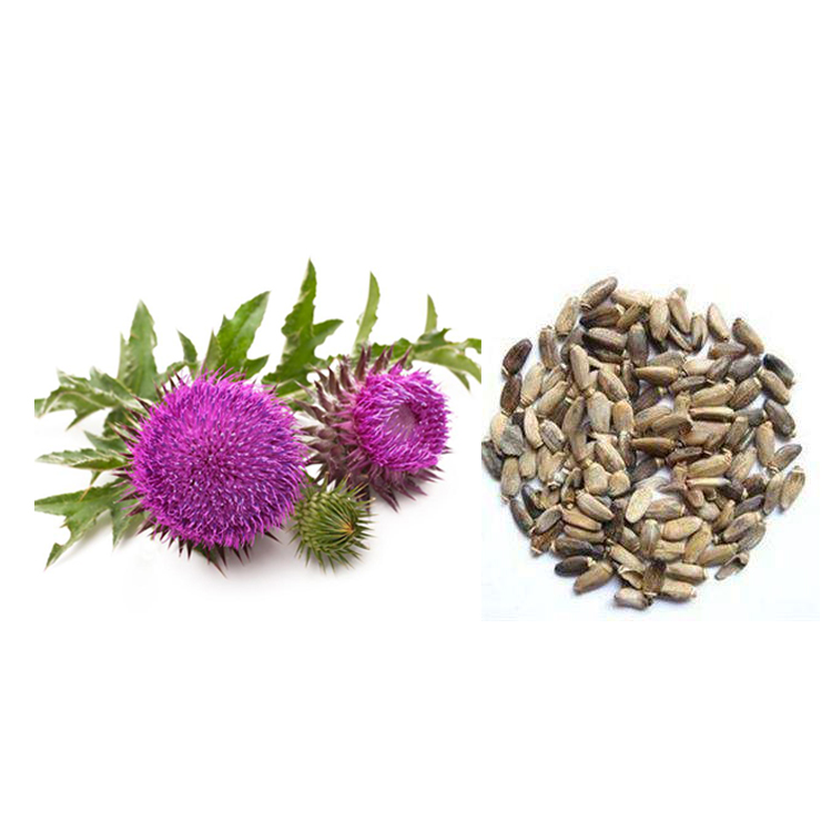  Silybin (Silibinin)  02