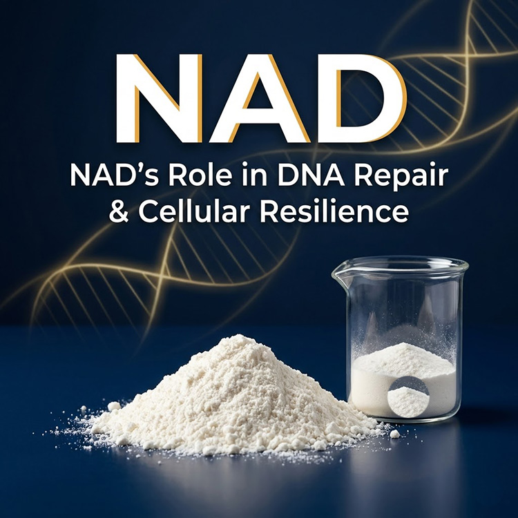 Die Rolle von NAD bei der DNA-Reparatur und der zellulären Widerstandsfähigkeit