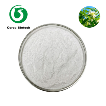Pure Stevia Sweetener Powder 1:1 Sweetness White Granular 20-30 Mesh | Natural Zero Calorie Sugar Substitute E960