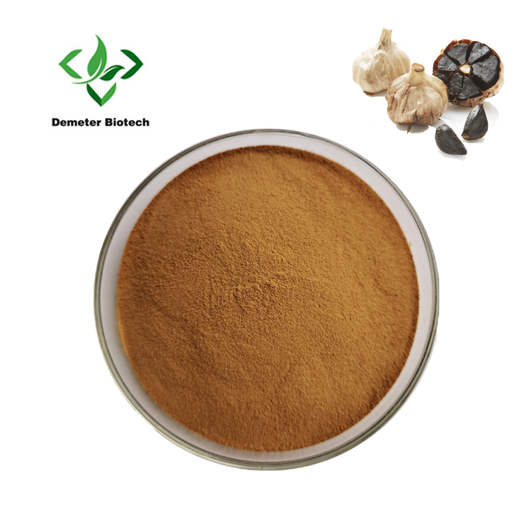 Black Garlic Extract Powder