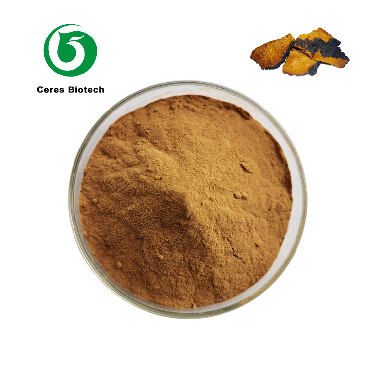 Chaga