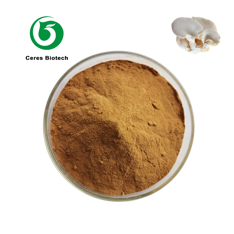 Oyster Mushroom