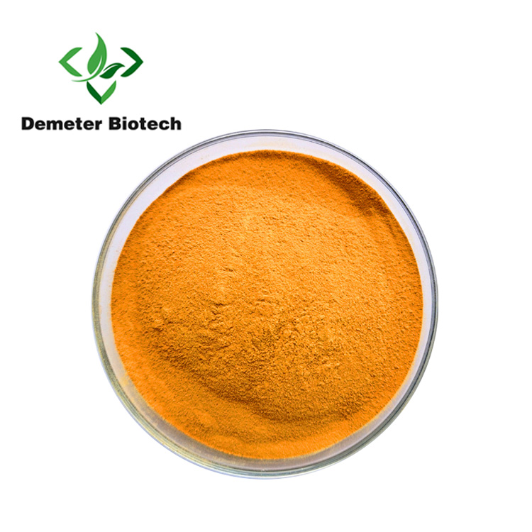 Turmeric Root Extract Curcumin Powder