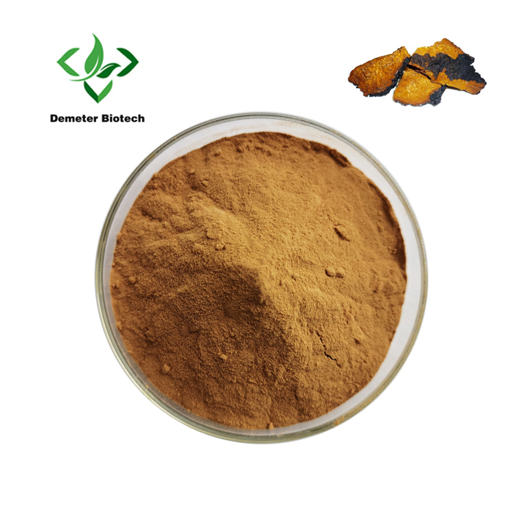 Chaga Mushroom Extract