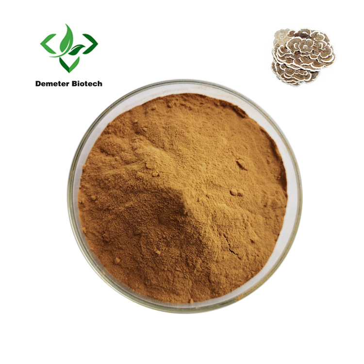 Coriolus Versicolor Extract