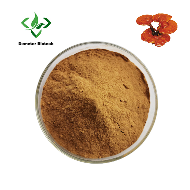 Reishi Mushroom Extract
