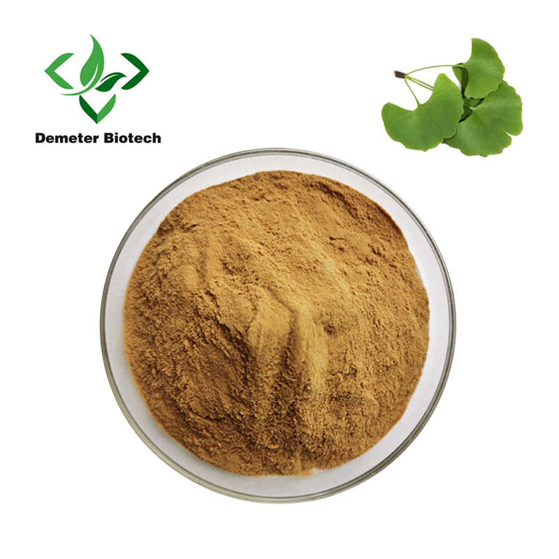 Ginkgo Biloba Extract 5:1