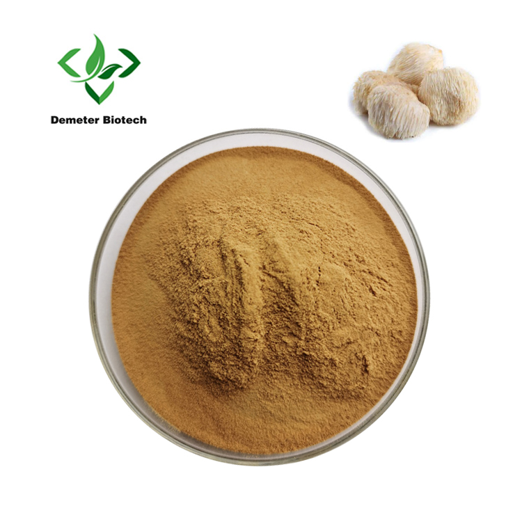 Lion's Mane Mushroom Extract
