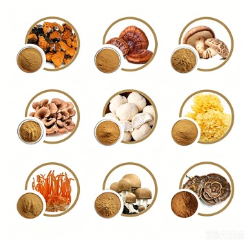 USDA Organic Mushroom Extract Series Dual Extract Beta-Glucan Polysaccharides 100% Fruiting Body Various Species Wholesale Bulk