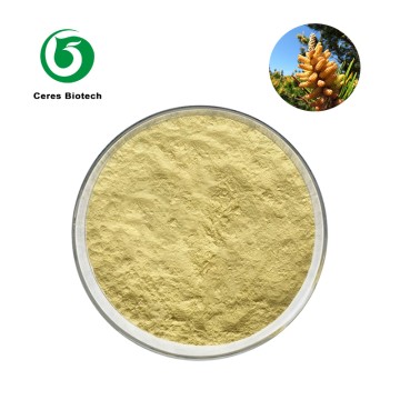 Pure Pine Pollen Extract Powder Ratio 5:1 10:1 20:1 UV/HPLC Tested Natural Pine Pollen Polysaccharides & Flavonoids