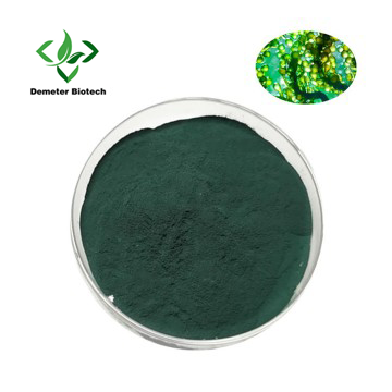 Sodium Copper Chlorophyllin Powder