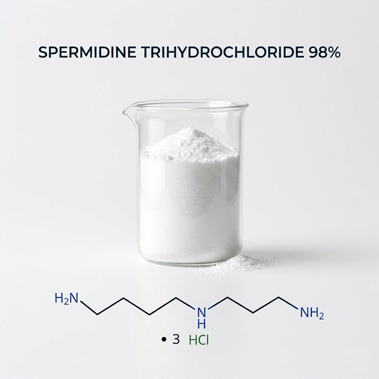 The Stability Advantage: Why Spermidine Trihydrochloride Supports Scalable Longevity Formulations