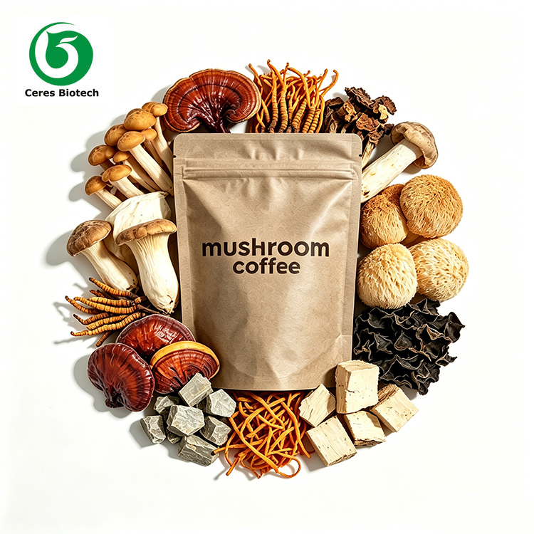 Mushroom Coffee Is Going Mainstream: Why Functional Instant Powder Is Winning Over Health-Conscious Consumers