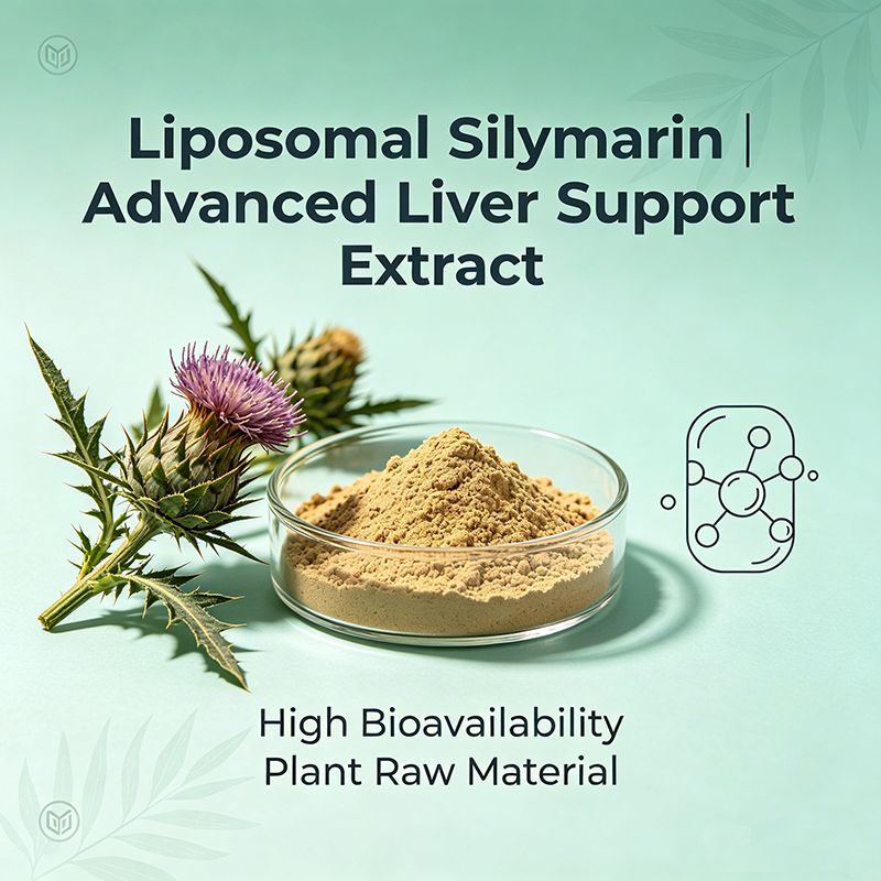 Liposomal Silymarin: High-Absorption Liver Support Ingredient with Advanced Technology