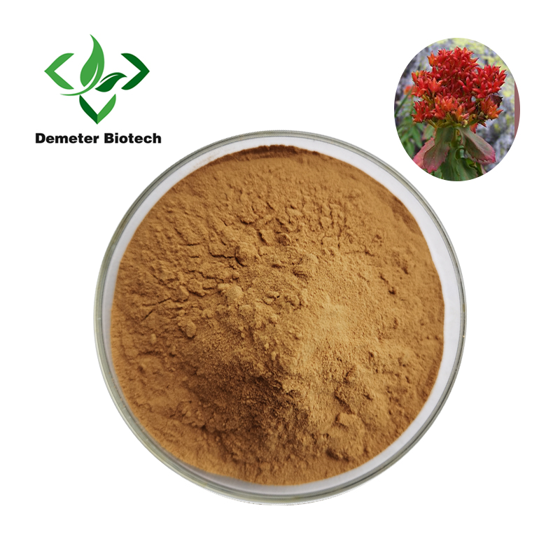 Rhodiola Rosea Extract 3% Salidroside