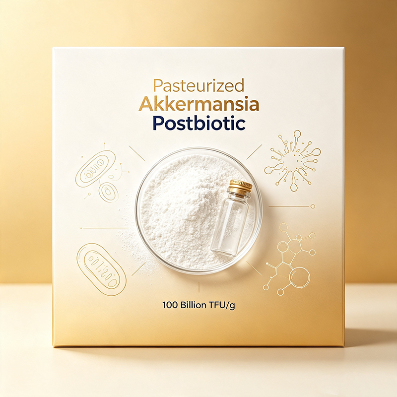 Mechanism & Physicochemical Properties of Pasteurized Akkermansia Muciniphila Postbiotic Powder
