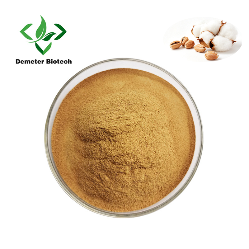 Cotton Seed Extract 5:1 Powder