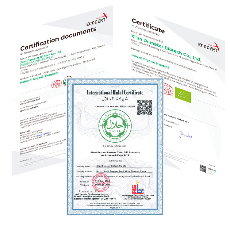 CERTIFICATES