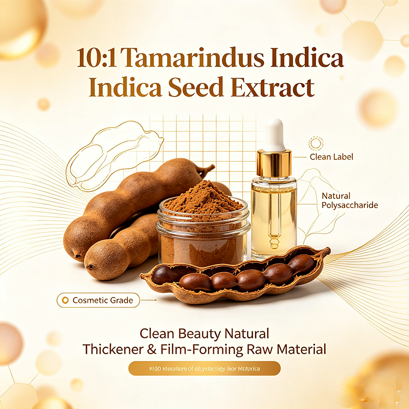 10:1 Tamarindus Indica Seed Concentrated Extract: Clean Beauty Natural Thickener & Film-Forming Raw Material