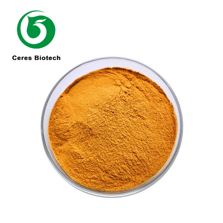 High Absorption Liposomal Vitamin B2 Powder: Structural Taste-Masking for Clean-Label Formulations