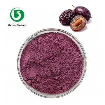 USDA Organic Prune Powder Water Soluble Spray Dried Prune Fruit Powder Prune Juice Powder