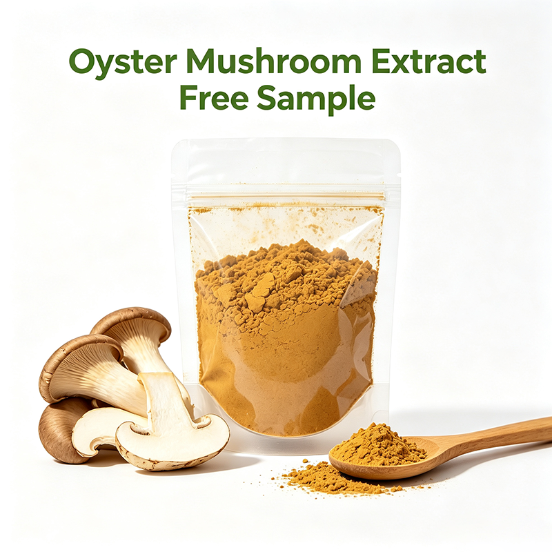 OYSTER MUSHROOM EXTRACT 02