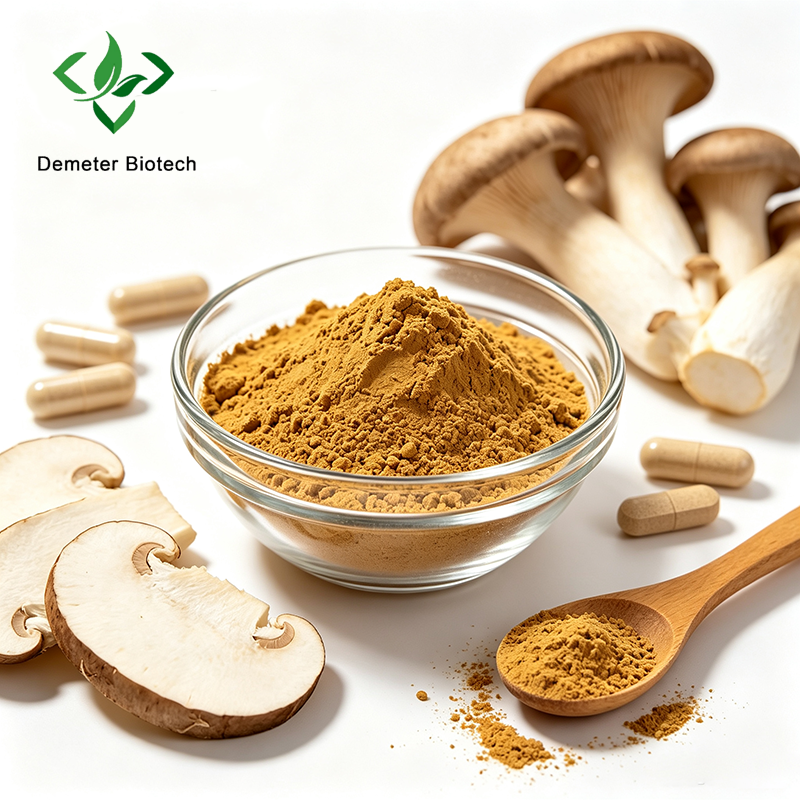 Oyster Mushroom Extract Polysaccharide 10-30% Powder
