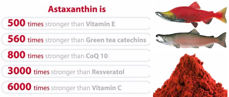 Natural astaxanthin in the aquatic food chain and its relative antioxidant potency