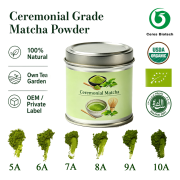 EBko eta NOPeko ziurtagiri handiko Matcha hauts natural organikoa, zeremonia mailako Matcha te berde hautsa 102