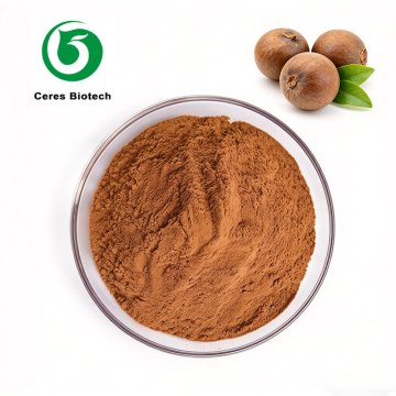 Soapnut Extract Powder Sapindus Mukorossi Extract Natural Surfactant for Shampoo & Cleanser