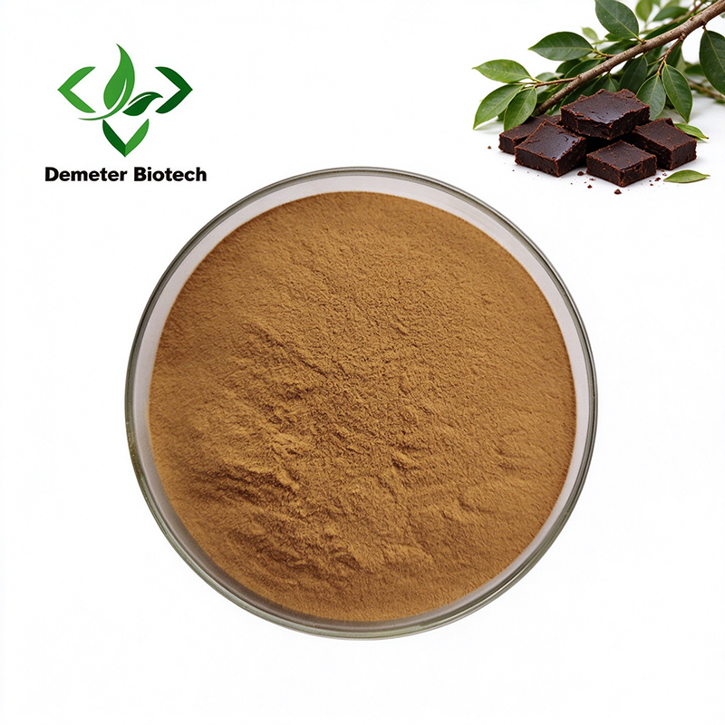 Acacia Catechu Extract 10:1 20:1 Ratio Powder