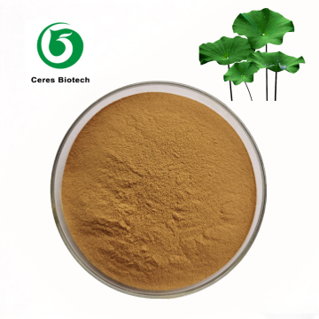 Natural Weight Loss Lotus Leaf Extract Powder 10%–20% Nuciferine Powder