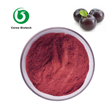 Organic Food Grade Fruit Powder Maqui Berry Powder 25% Anthocyanin