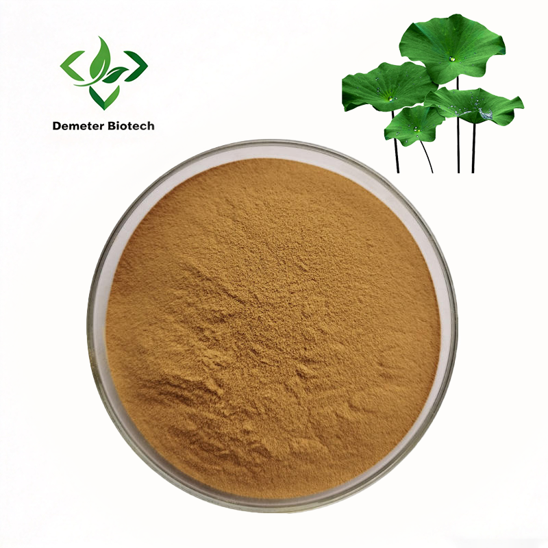 Lotus Leaf Extract Nuciferine 10-20% powder