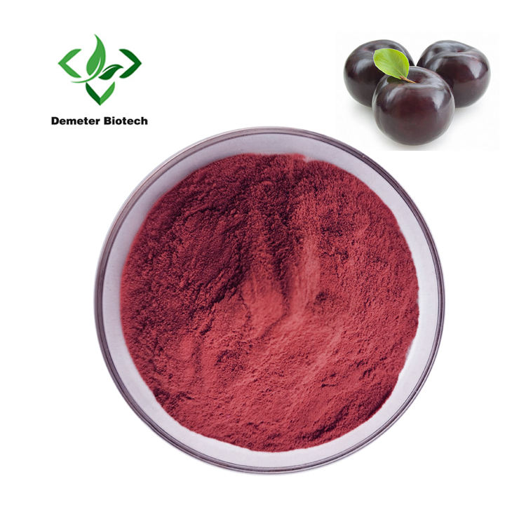 Maqui Berry Powder