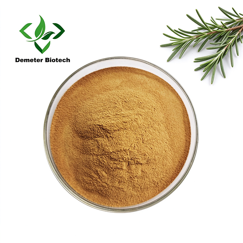 Rosemary Extract Rosmarinic Acid Powder