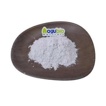 Natural Cosmetic Ingredients HP Starch