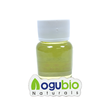 Lavender Oil in Cosmetics Ultimate Guide to Usi...