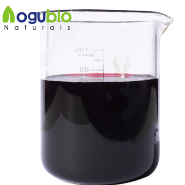 Blueberry Fruit Extract for Antioxidant-Rich Skincare & Anti-Aging