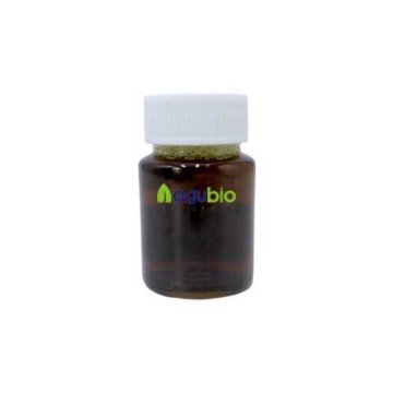 Pure Black Seed Oil Natural Essential Oil for S...